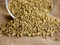 coriander, seeds, seasoning